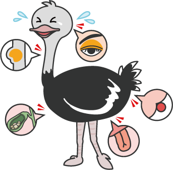 北みやぎ外科クリニックキャラクター「ぢだっちょう君」